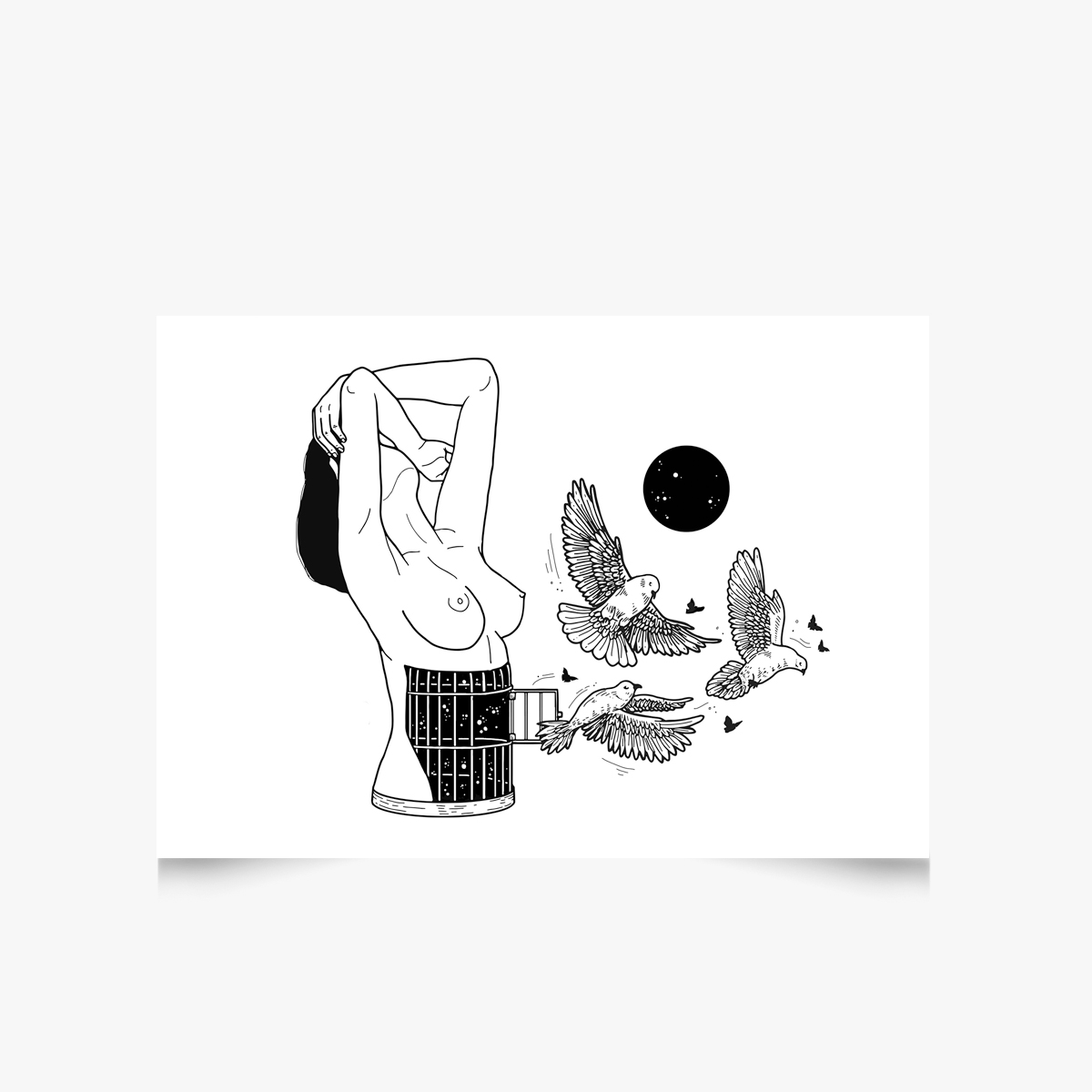 Birds Cage